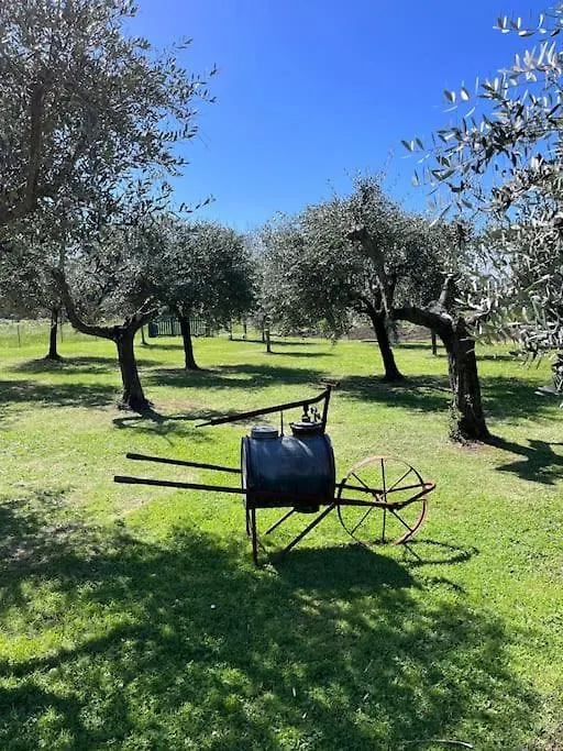 La Casa Di Margot Daire Forte dei Marmi